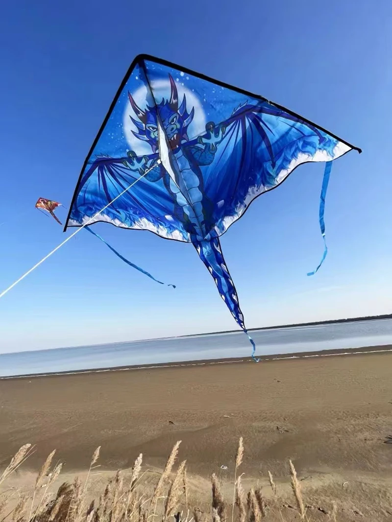 Drachendrachen fliegen für Kinder, Delta-Drachen, Nylongewebe, professionelle Winddrachenlinie, Outdoor-Spielzeug, Fischdrachen, Koinobori-Papalotes – Detail 7
