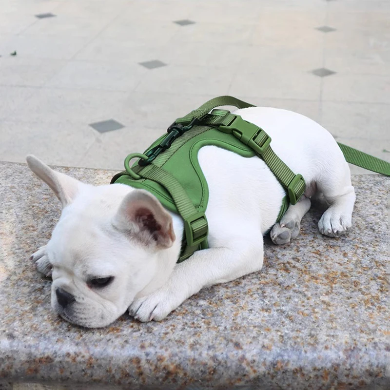 

Adjustable Pet Chest Dog Harness Breathable Vest Outdoor Training Harness for Small Medium Dogs Harness and Leash for Walking