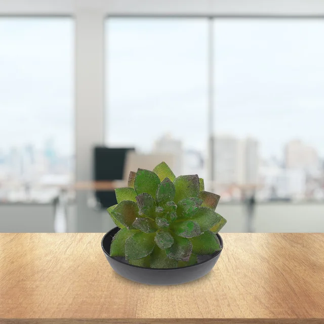 Virágpot Tálca Víz Tálcák Edénylemez Alapok Virágkaparás Bázis Műanyag Kertészkedés Egyszerű Otthoni Kreatív Csepegtetés - Image 5