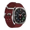 Silver-wine red