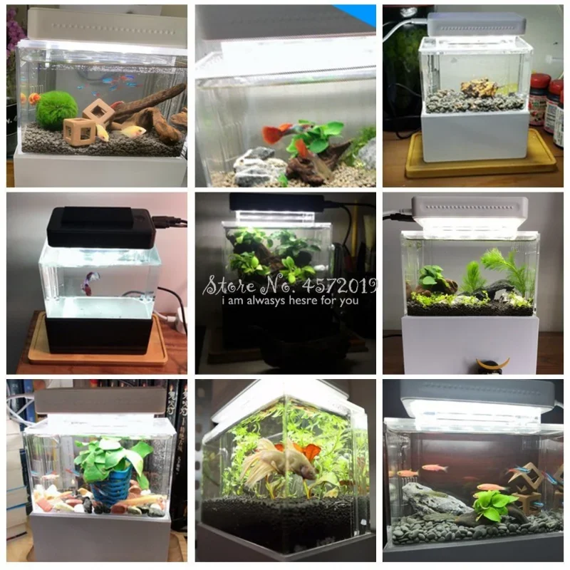 Mini aquarium portable avec filtre à eau et lumière LED, betta poisson précieux, bureau aquaponique, pompe à air USB, décoration portable