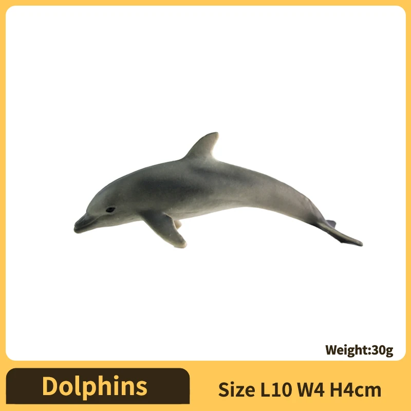 イルカ | AliExpress Businessの卸売割引とドロップシッピング特典