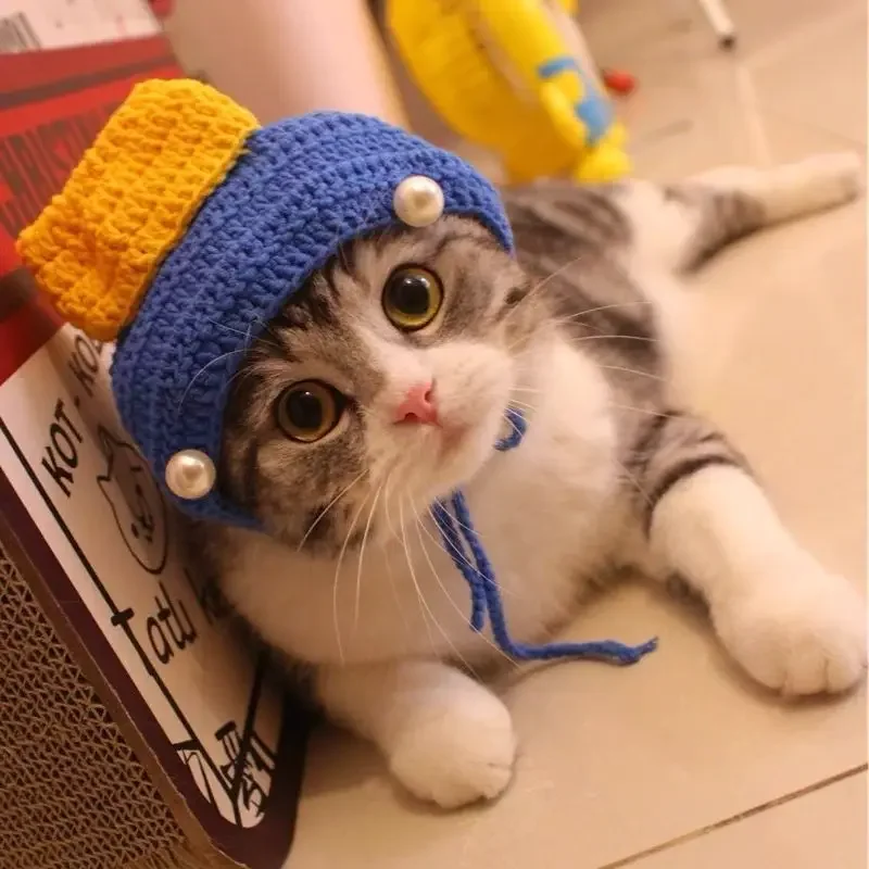 Cute Frog Cat Hat with Bunny Ears