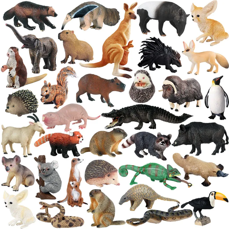 

Simulation Wild Animal Figurine Capybara Squirrel Hedgehog Snakes Wild Boar Lifelike Zoo Action Figure Children Educational Toys