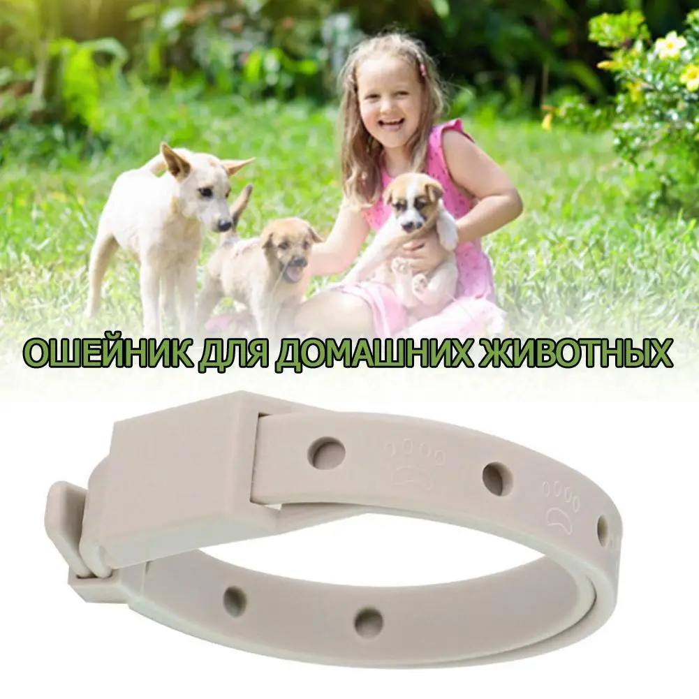 

Effective Flea Tick Collar for Pets Antiparasitic Protection Anti-mosquito Insect Adjustable Repellent Pet Collar Accessori C5C3