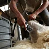 2000W 6 Speed 13 Teeth Electric Sheep Pet Hair Clipper Shearing Kit Shear Wool Cut Goat Pet Animal Shearing Supplies Farm Cut 6