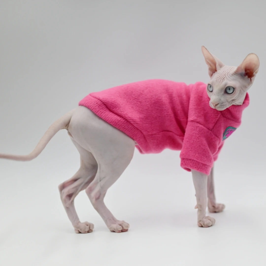 Roupas para gatos Sphynx sem pêlos, roupa quente e macia, suéter Devon,  Cornish, Peter Pan, roupas para gatos - AliExpress, image size:1080x1080