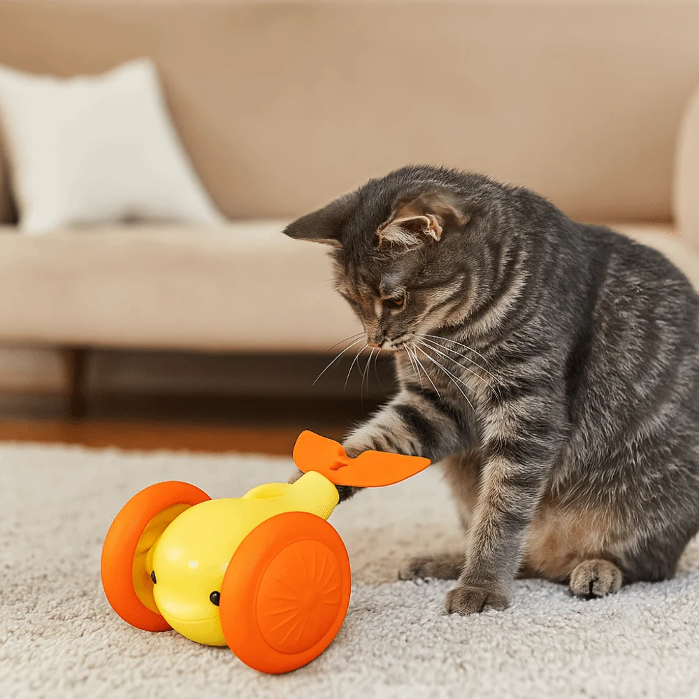 USB Charging Cat Interactive Whale Toy Running Car Interactive Automatic Rolling Ball Plastic Cat Teaser Toy Pet Play