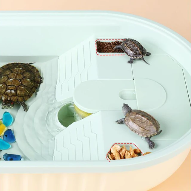 Habitat per rettili mangiatoia per cova allevamento vasca per tartarughe  acquario terrario per rana anfibi Terrapin piccolo rettile - AliExpress