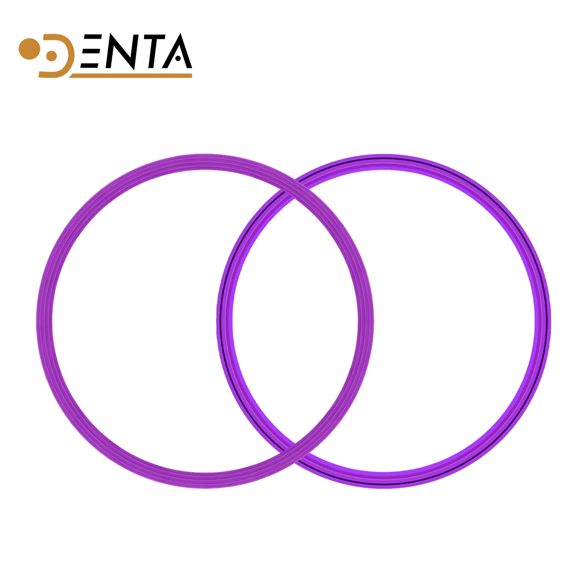 48# Woson Model Tanda C12 Autoclave door gasket replacement seal o- ring Chamber seal accessories tools parts