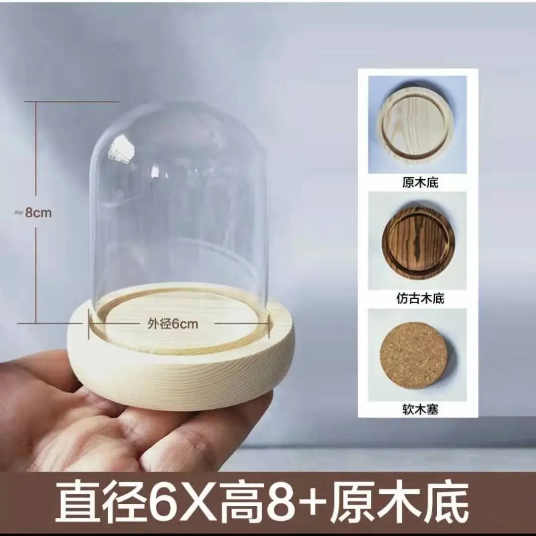 10pcs D6/8/9/10cm Glass Dome Mix Wooden Base Gift Bedroom Decor Glass Cover Landscape Vase Terrarium Container Flower Holder 3