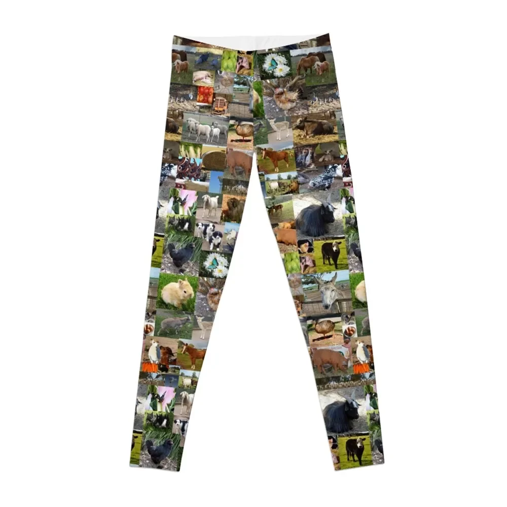 Life On The Farm Photo Collage, Leggings Abbigliamento Sportivo Donna Gym Gym Wear Leggings Da Donna Fitness Da Donna