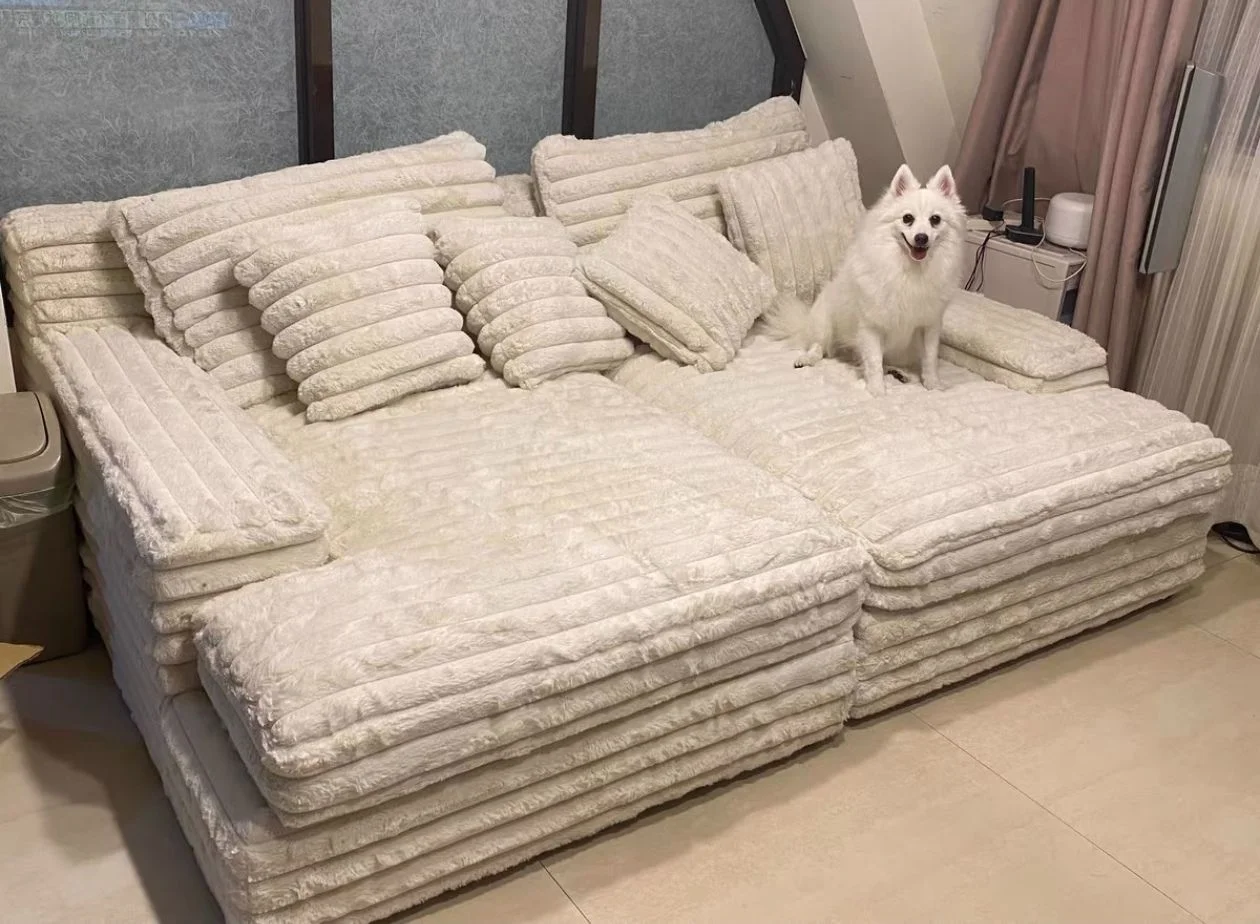 Design Filler Living Room Sofas European Beige Luxury Floor Compressed Sofas Puffs Recliner Modern Divani Soggiorno Furniture photo review