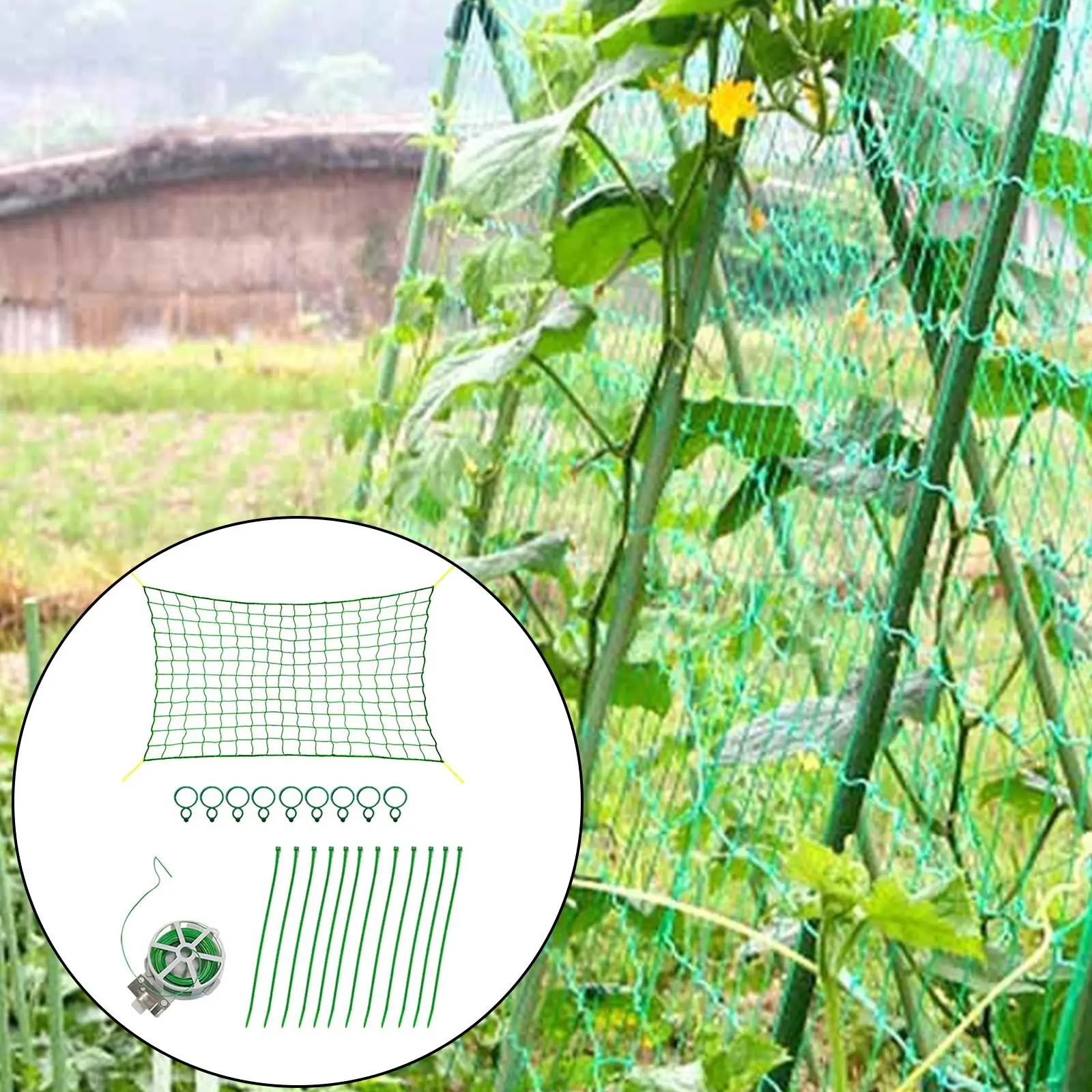 Garden Plants Climbing Net Plastic & Nylon Net Morning Flower Vine ...