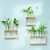 Simple Nordic Test Tube Glass Vase Decoration Creative Wooden Frame Hydroponic Plant Container Home Decoration 5