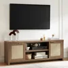 Modern Hampstead TV Stand for Living Room - Entertainment Center for 65 Inch TV with Rattan Doors Cabinet 1