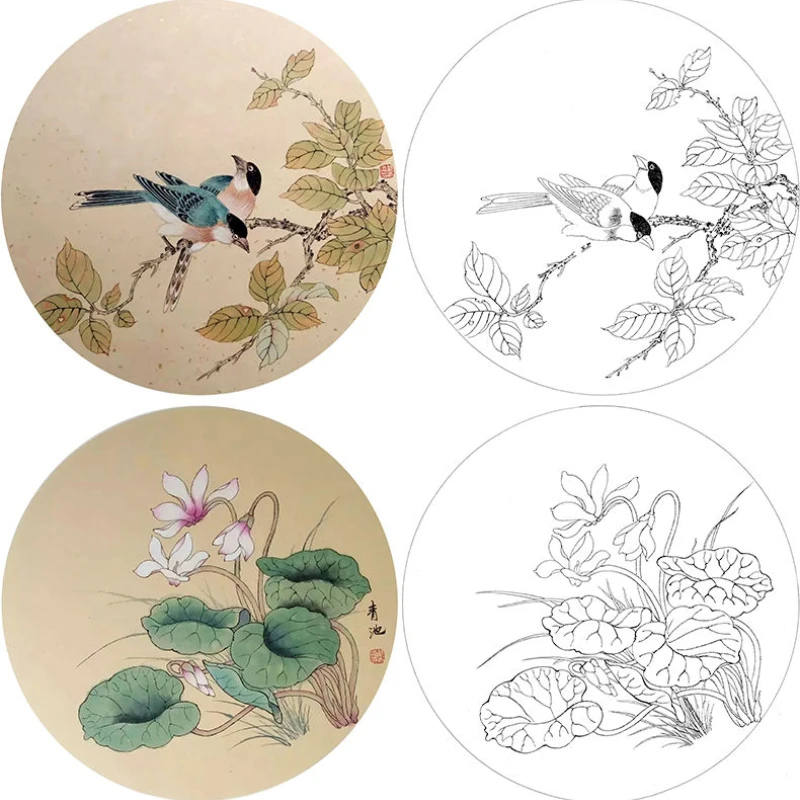 Meticulous Painting Line Draft Round Fan Line Drawing Copying Manuscript Chinese Baimiao Painting Flowers Birds Drawing Draft