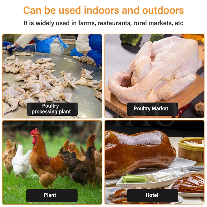 Small Slaughter Equipment Poultry Plucking Feather Chicken Plucker Machine For Home Use 6