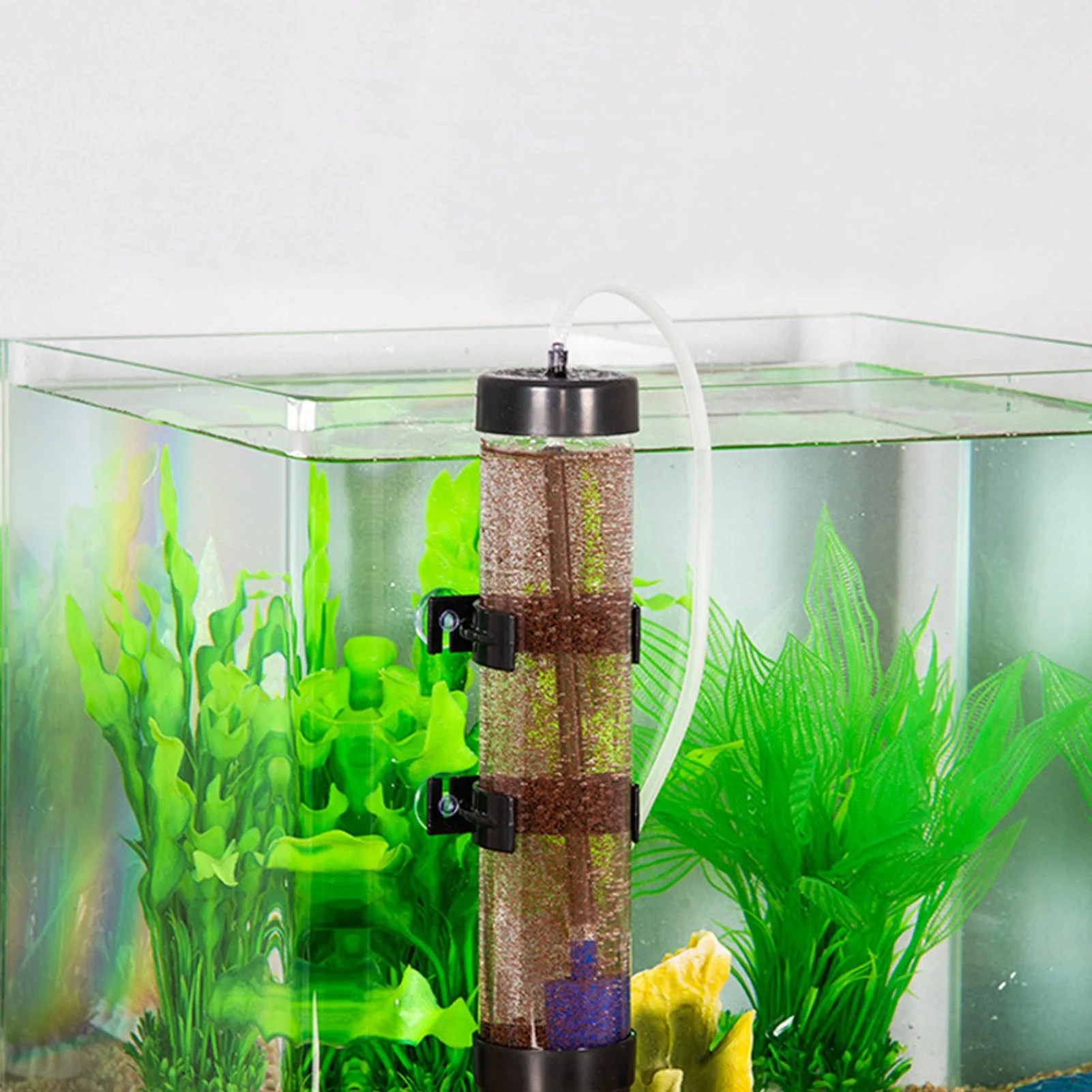 Brine Shrimp Eggs Incubator Hatchery Kit for Aquarium