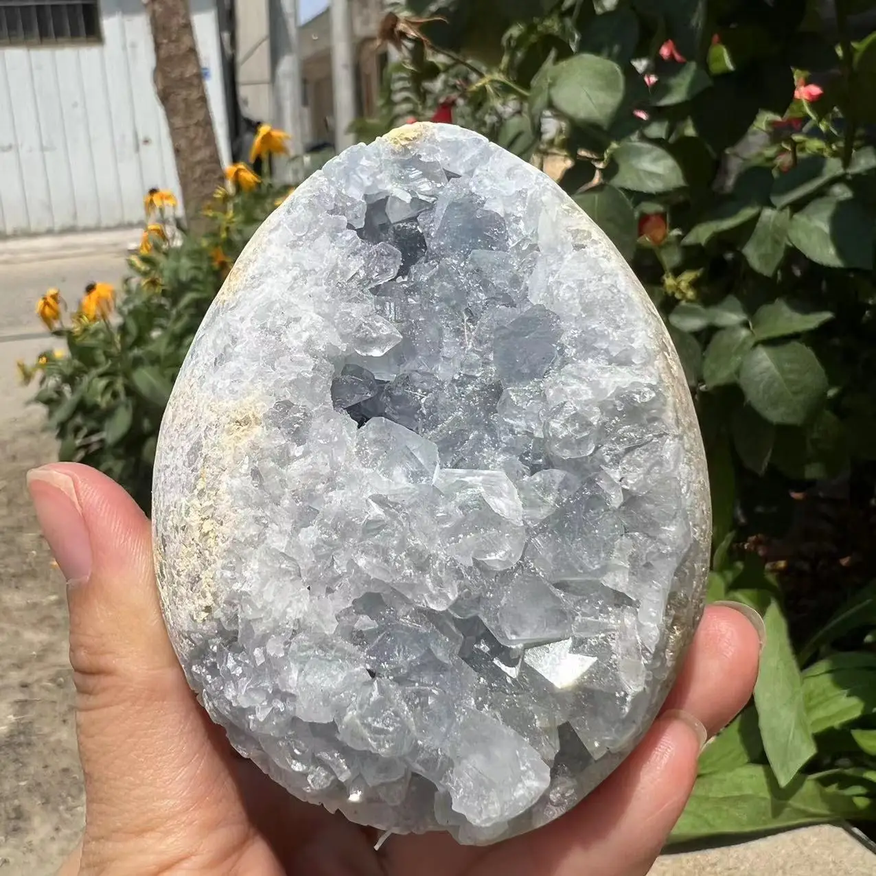 

Natural celestite geode quartz cluster crystal specimen healing (only 1pcs ​The pictured is the exact one you will receive)