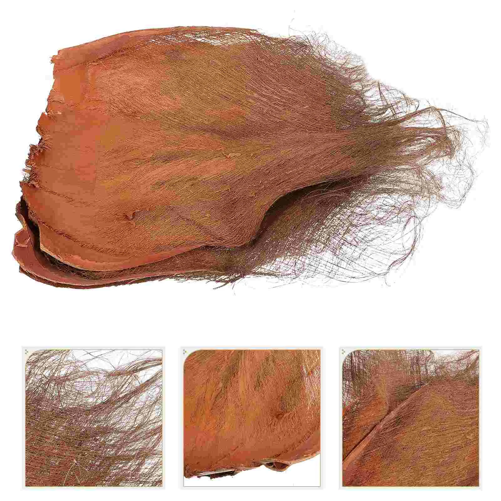 

3 Pcs Coconutative Blocking Coconut Tree Bark Ornament Natural Multifunction