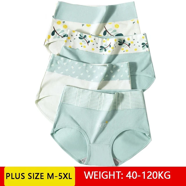 Plus Size M-5XL 4Pcs Pure Cotton Panties Women High Waist Body