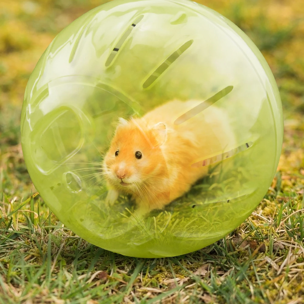 Hamster In Ball ubicaciondepersonas.cdmx.gob.mx