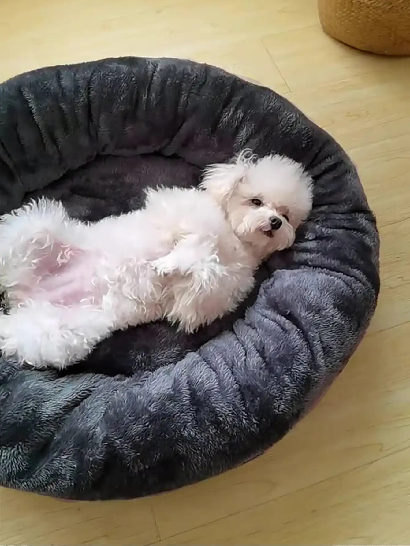 Pet Bed Round 2 Pet Bed Round 2