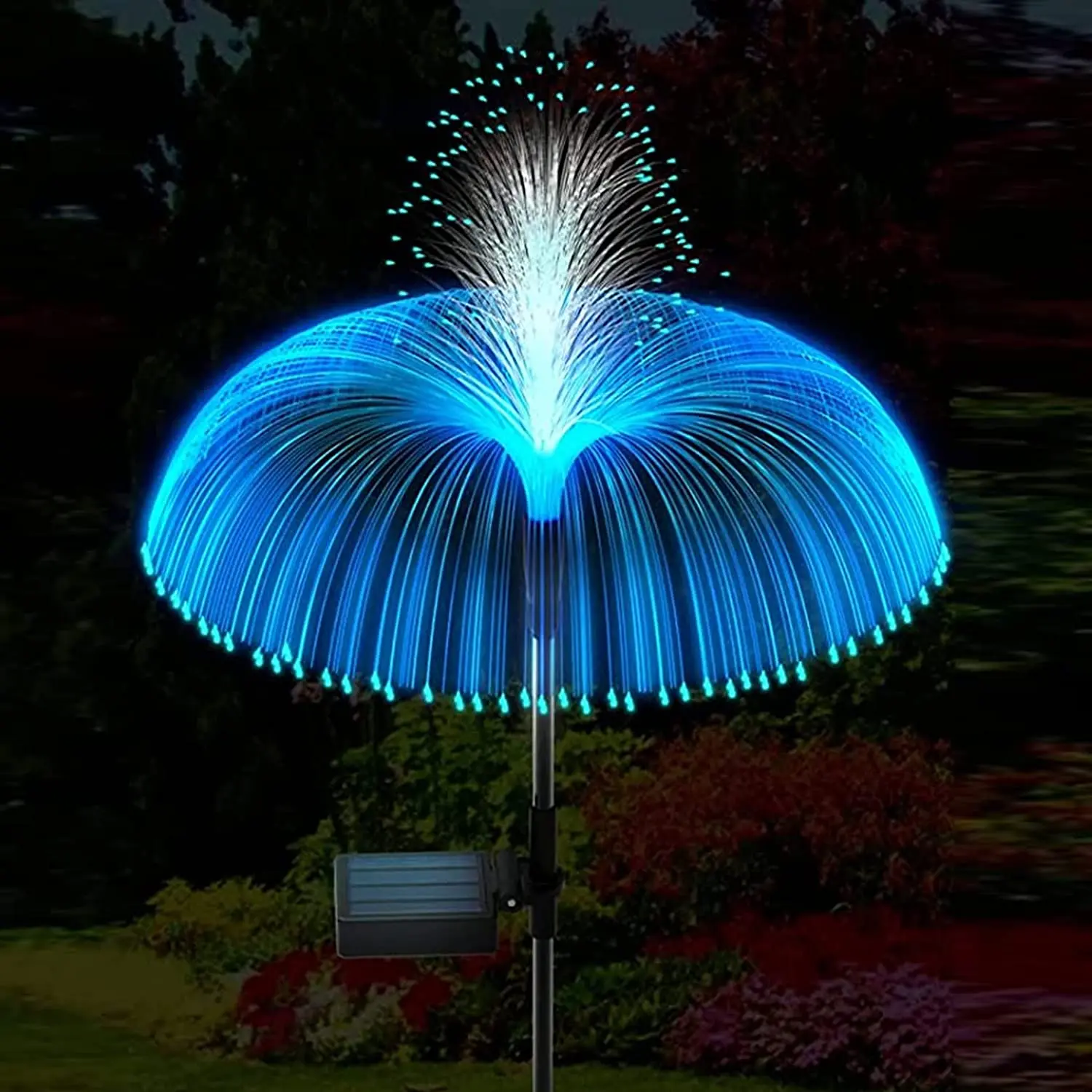 Firework Jellyfish