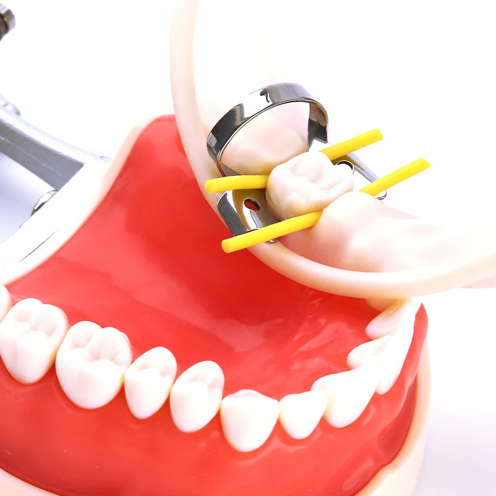AZDENT Dental Kofferdam-Stabilisierungsschnur, Länge 2,1 m, Durchmesser 1,8 mm, mittlere Keile, Klemmen, Blätter, elastisch – Detail 2