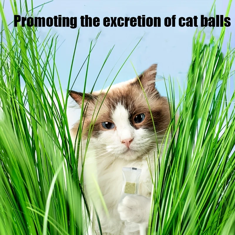 Pet Snacks Freeze Dried Cat Grass Bricks Adult and Young Cats Mild Hair Removal Hair Removal Balls