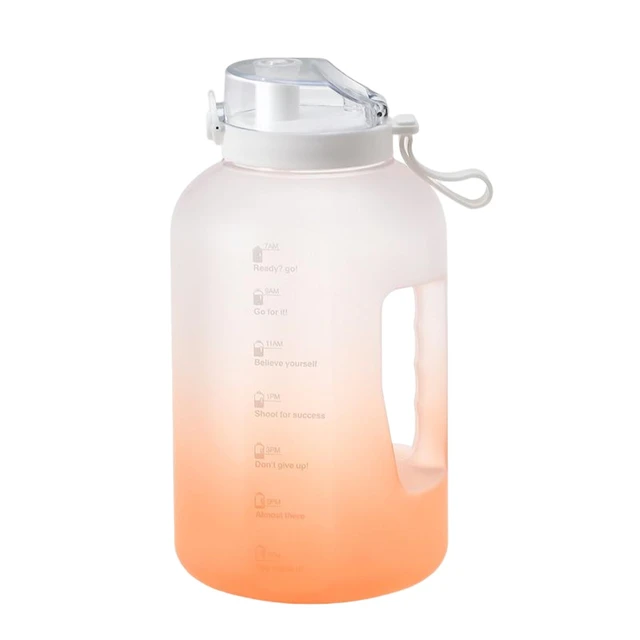 Portable 2.5L Water Bottle with Straw & Handle Leakproof BPA Free Big Water  Jug for