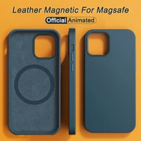Official Animation Leather Magsafe Case For iPhone 15 14 13 16 Pro Max 16 Plus Magnetic Wireless Charging Phone Cases Back Cover 1