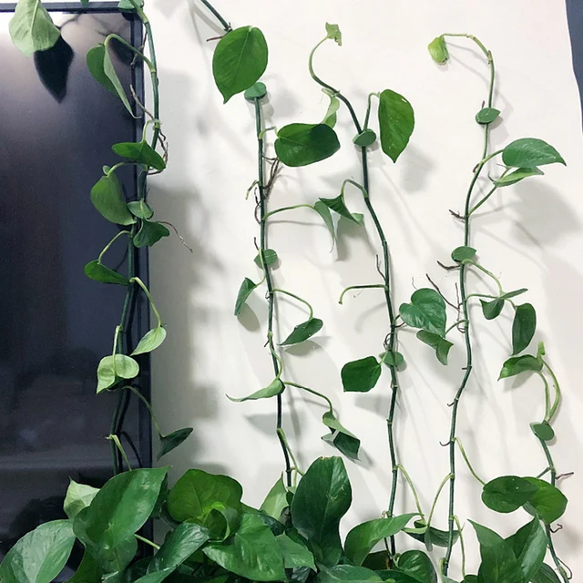 10 Darab Növényi Bilincsek Levél Alakú Fali Hegymászó Lámpatest Tartozók Tartozékok - Image 4