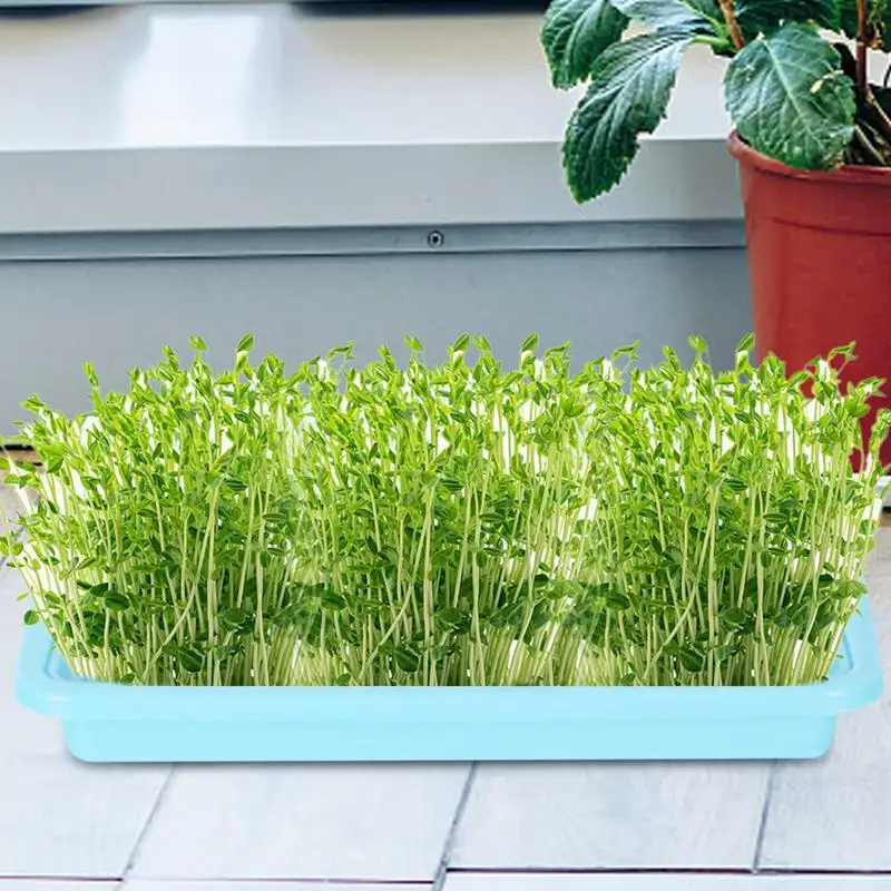 Seedling Sprouter Tray Microgreens Growing Trays Seedling Starter Tray Large Capacity Wheatgrass Grower Microgreens & Nursery 5