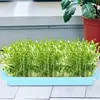 Seedling Sprouter Tray Microgreens Growing Trays Seedling Starter Tray Large Capacity Wheatgrass Grower Microgreens & Nursery 5