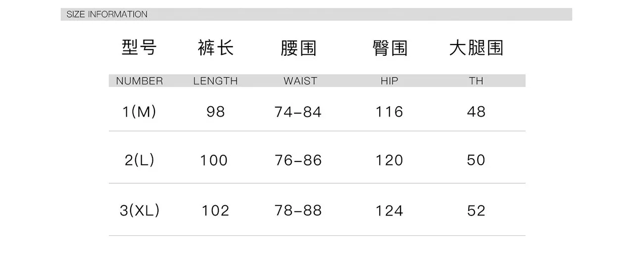 Whyworks 25aw Metallic wax-dye cargo pants 3d cut multipocket elastic waist techwear aesthetic -