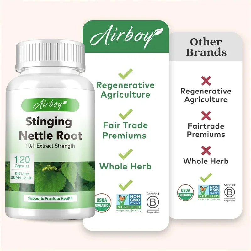 Stinging Nettle Root Supports Prostate and Urinary Tract Health Improves Digestion Relieves Frequent Urination stinging nettle root supplement