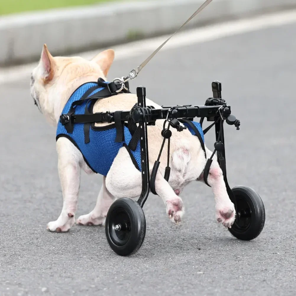 Silla De Ruedas Para Perros De 4 Ruedas Ajustable - Carrito Ligero De Aluminio Para Perros Con Problemas De Movilidad (negro, Talla M)