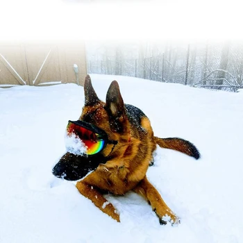 Dog Goggles Sunglasses Anti-UV Sun Glasses Eyewear Protection Adjustable Windproof Sunglasses Pet Dog Supplies For Travel 1