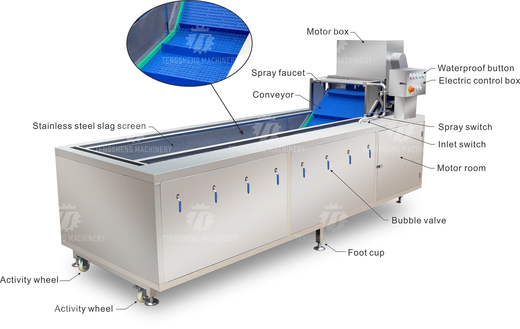 Manufactory Direct ginger washing machine Automatic vegetable washers washing machine for vegetable 3