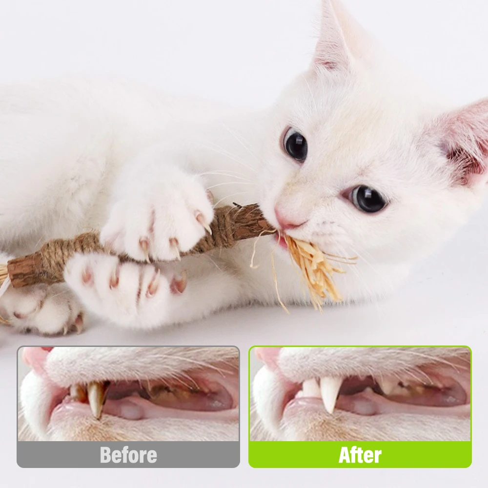 5pcs Cat Snack Sticks Catnip 2