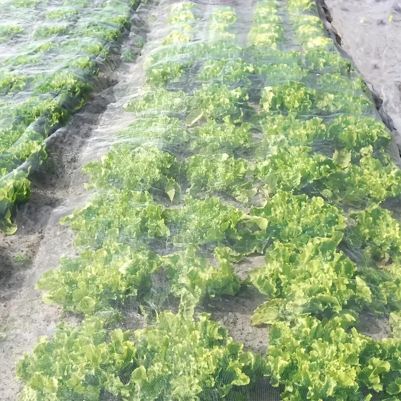 Durable Horticultural Protective Mesh - Insect-Proof Permeable Plant Cover for Vegetables, Flowers, and Greenhouses