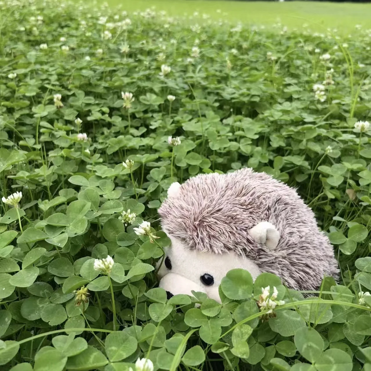 HighQuality 18cm Mr Hedgehog Anime Plush Cute Stuffed Animal Pillow Toy Ideal for Christmas Thanksgiving Gifts