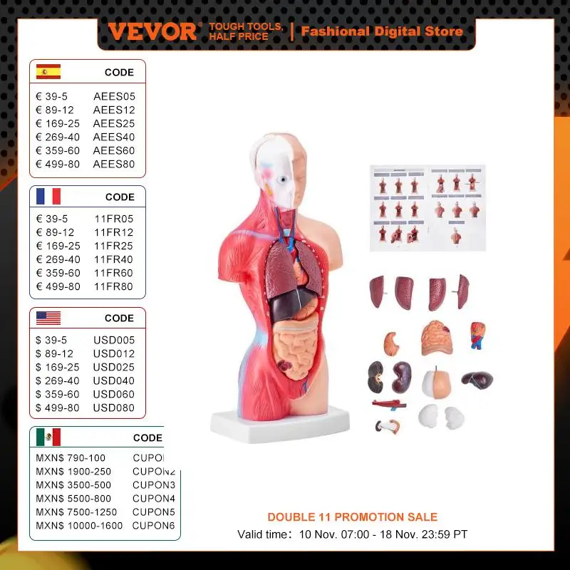 VEVOR Human Body Model 15/23 Parts Anatomical Skeleton Model with Removable Organs Educational Teaching Tool Education Display