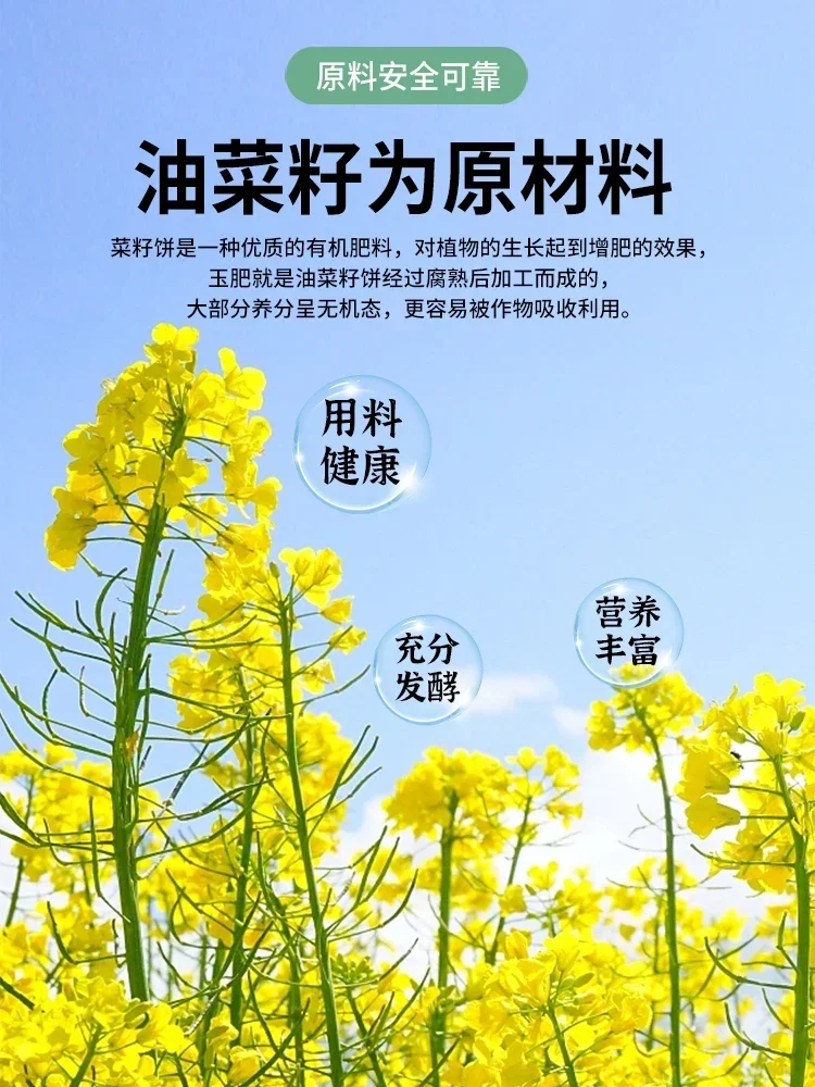 

250g 2.5cm Jade Fertilizer, Bonsai, Pine and Cypress, Special Long-term Organic Slow-release Fertilizer, Granular Flower
