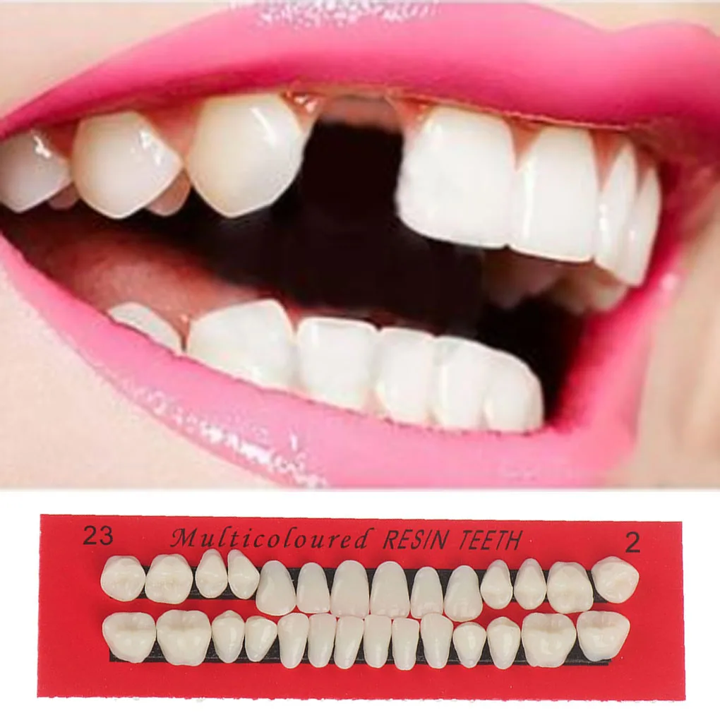 28Pcs Set Resin Teeth Model Durable Waterproof Dentures Lightweight