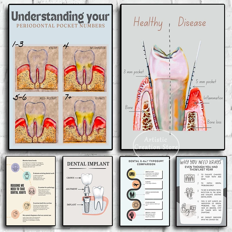Tooth Anatomy Education Poster 1