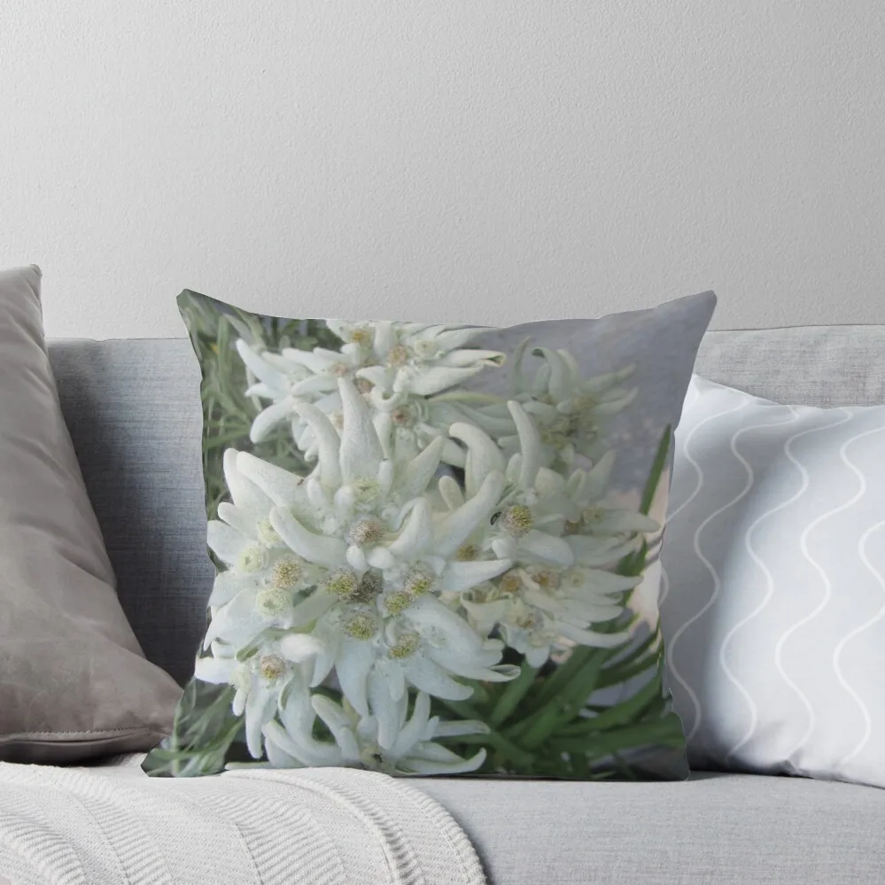 

edelweiss Throw Pillow autumn decoration Christmas Throw Pillows Covers Sitting Cushion