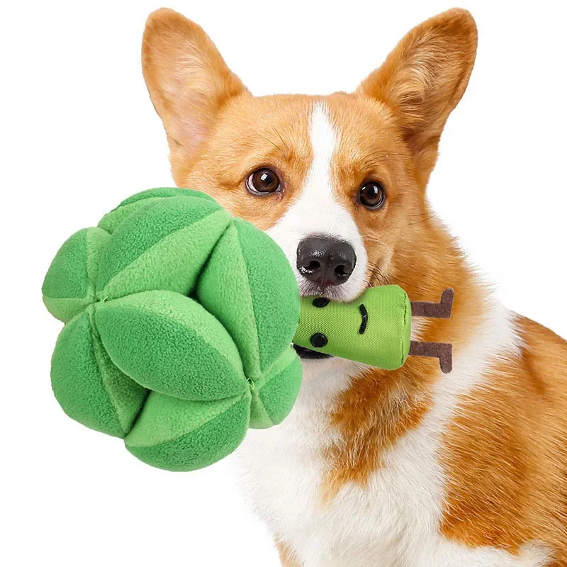 Snuffle Broccoli Dog Puzzle Toys Increase IQ Slow Dispensing Feeder Pet Cat Training Games Feeding Feeding Food Intelligence Toy Snuffle Broccoli Dog Puzzle Toys Increase IQ Slow Dispensing Feeder Pet Cat Training Games Feeding Feeding Food Intelligence Toy